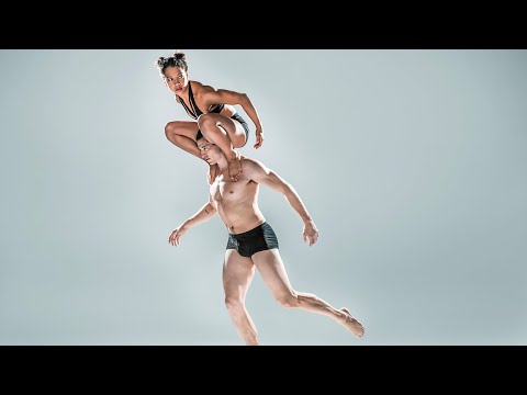 What is Pilobolus?