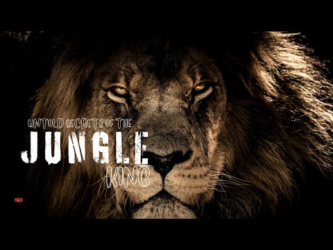 The King of the Jungle: What No One Knows About the Lion