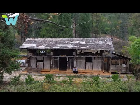 Parents go on a trip, three brothers secretly renovate the old house , making the neighbors jealous