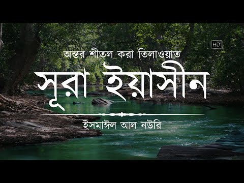 (New) অন্তর শীতল করা সূরা ইয়াসিন এর তিলাওয়াত ┇ Surah Yasin Recited by Ismail An Nouri ┇An Nafee