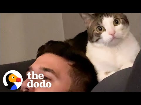 Woman Becomes Third Wheel In Her Cat And Husband's Relationship | The Dodo Cat Crazy