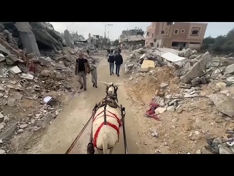 Donkey tour shows destruction in Gaza's Khan Younis