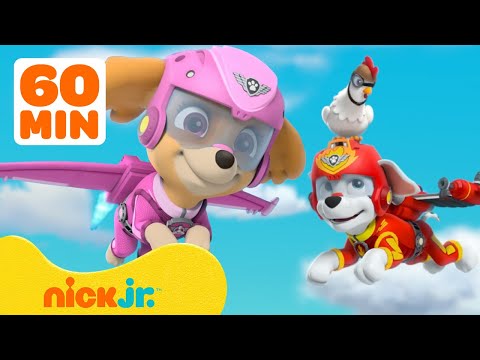 PAW Patrol Skye's Helicopter Rescues! w/ Marshall, Chase &amp; Marshall | 1 Hour Compilation | Nick Jr.