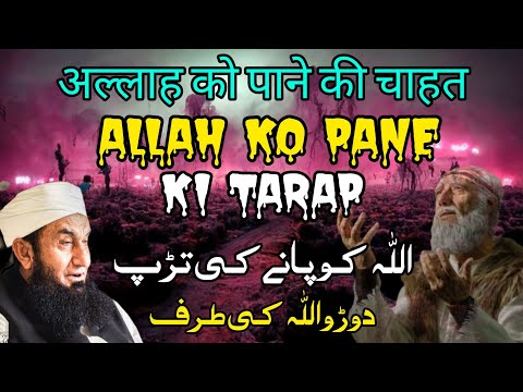 Allah Ko Pane Ki Tarap: A Profound Quest with Molana Tariq Jameel&quot;