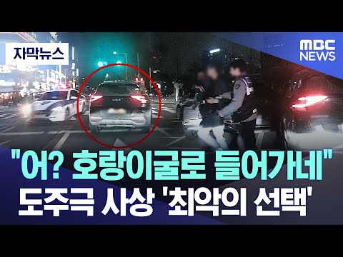 [자막뉴스] &quot;어? 호랑이굴로 들어가네&quot;..도주극 사상 '최악의 선택' (2023.06.03/MBC뉴스)