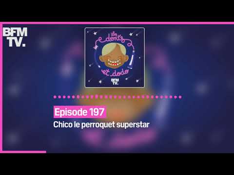 Episode 197 : Chico le perroquet superstar - Les dents et dodo