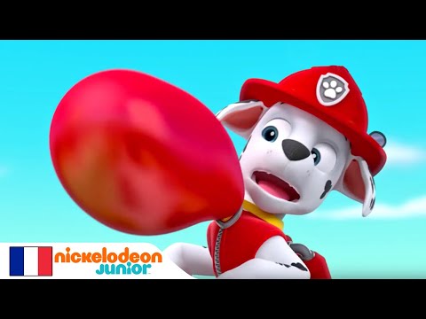 Paw Patrol : la Pat'Patrouille | Galinetta s'envole | NICKELODEON JUNIOR