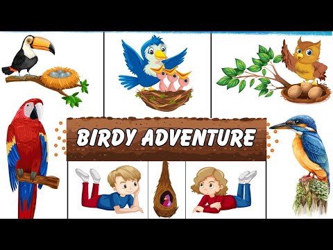 Birdy Adventure Extravaganza: A Mesmerizing Adventure with Birds | Educational Fun for Kids! 