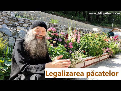 Legalizarea păcatelor - p. Pimen Vlad