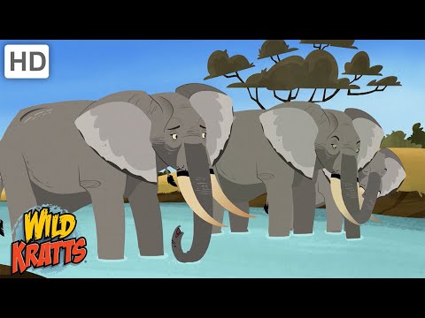 Really Big Creatures | Whales, Elephants, Sharks + more! [Full Episodes] Wild Kratts