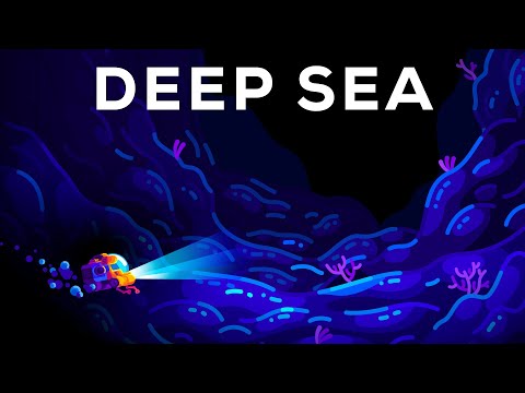 What&amp;rsquo;s Hiding at the Most Solitary Place on Earth? The Deep Sea