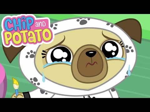 Chip &amp; Potato | Where is Spuds Homework Chip? | Cartoons For Kids