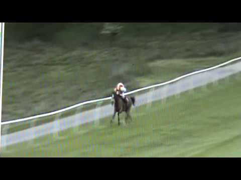 What a finish ! Horseracing...