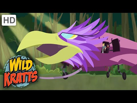 Wild Kratts | Secrets of the Spider's Web | Full Episode | Season 2