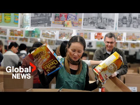 Food bank use in Canada hits record high in 2023: report