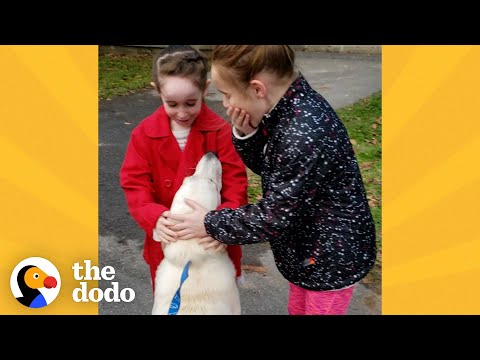 Mom Secretly Adopts A Shelter Dog Her Daughters Fell In Love With | The Dodo