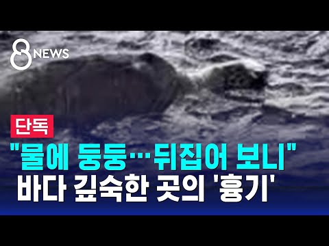 [단독] &quot;물에 둥둥&hellip;뒤집어 보니&quot; 바다 깊숙한 곳의 '흉기' / SBS 8뉴스