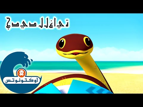 18 أوكتونوتس | ثعابين البحر الصفراء كبيرة البطن | السلسلة 4 | الحلقة