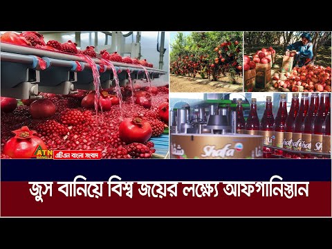 কীভাবে আনারের জুস রপ্তানি করে এগিয়ে যাচ্ছে আফগানিস্তান ? | Afghan Drink | Pamir | Pomegranate Juice