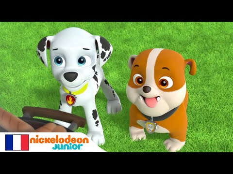 Paw Patrol : La Pat' Patrouille | Le dragon cracheur de feu | NICKELODEON JUNIOR