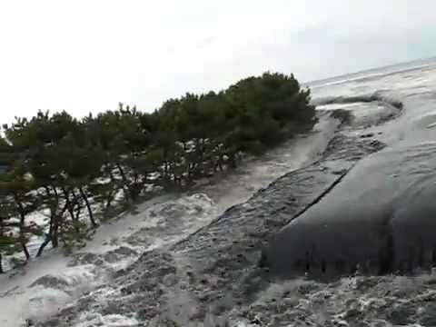 Japan Tsunami 2011 - One Brave Soul -