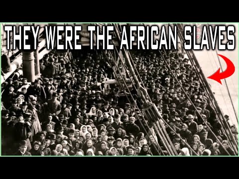 White Immigrants Were The African Slaves That Arrived In America During The Slave Trade Era