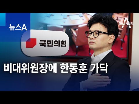 비대위원장에 한동훈 가닥 | 뉴스A