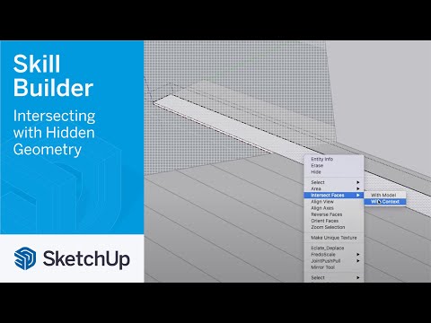 Intersecting with Hidden Geometry - Skill Builder