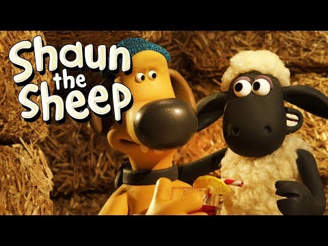 Turf Wars | Shaun the Sheep Season 5 | Full Episode