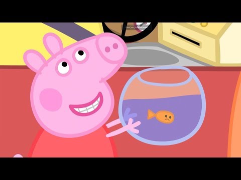 Peppa Pig Full Episodes | Goldie the Fish | Cartoons for Children