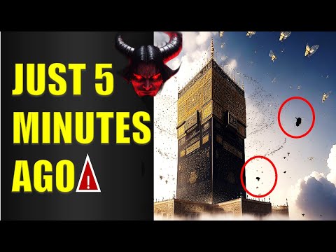 Strange Insects Invade The Kaaba in Mecca: A Warning for All?