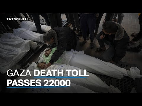 At least 22,600 Palestinians killed since October 7