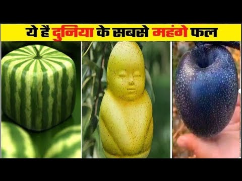 इन्हे आप सपने में भी नही खरीद सकते!😱😱| world's most expensive fruits 