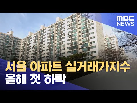 서울 아파트 실거래가지수 올해 첫 하락 (2023.12.17/12MBC뉴스)