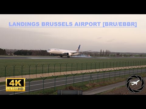 17 MINUTES of LANDINGS on a WINDY DAY | Brussels Airport Plane spotting [BRU/EBBR]