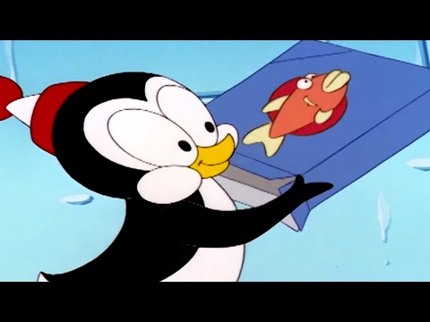 Chilly Willy Full Episodes 🐧Freeze Dried Chilly - Chilly willy the penguin 🐧Videos for Kids