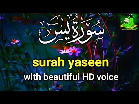 Most beautiful recitation of Surah Yaseen (Yasin):سورة يس : life islamic 3.5