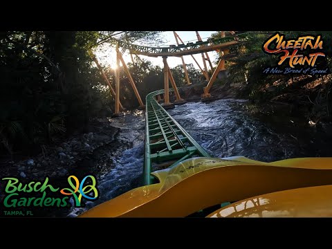 Cheetah Hunt 4K POV - Busch Gardens Tampa