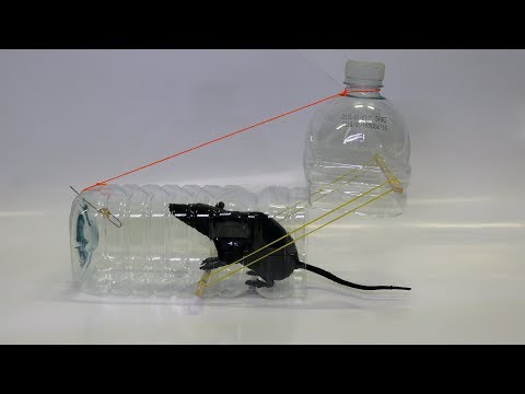 Water bottle Mouse/Rat Trap