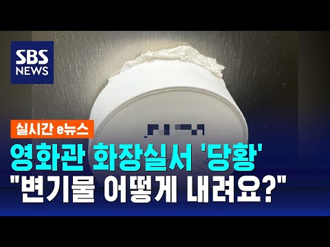 &quot;변기물 어떻게?&quot; 당황한 어르신&hellip;화장실 버튼 어땠길래 / SBS