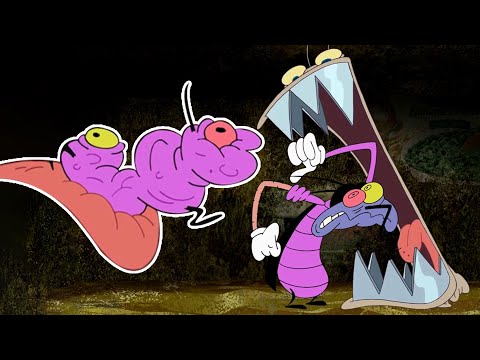 Oggy und die Kakerlaken | Termite versus Kakerlake | Volledige aflevering in HD