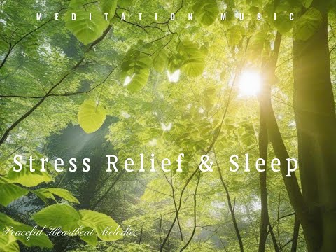 Relaxing Music/Stress Relief Music/Sleep Music/Meditation Music