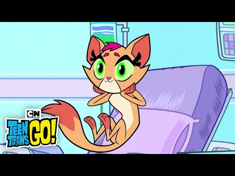 From Titans to Animals | Teen Titans GO! | Cartoon Network