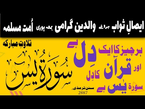 surah yaseen full | tilawat | Quran | @siratemustaqeem7