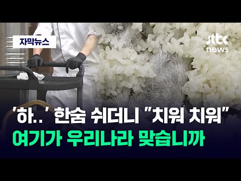 [자막뉴스] 밥 먹다 '뜨악'&hellip;대충 식사권 주고 넘어가려던 업장의 최후 / JTBC News