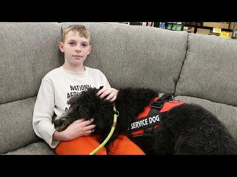 Autism Service Dog Max and his boy are a great team!