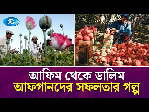 আফগানিস্তানের পানীয় নিয়ে বিশ্বজুড়ে তোলপাড়, কিনছে যুক্তরাষ্ট্রও | Afghanistan | Rtv Exclusive