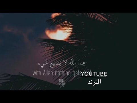 صوت جميل ومريح جدا لنوم??القارئ عبدالرحمن مسعد HD