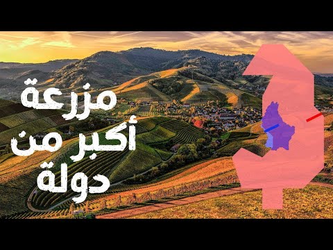 أكبر 10 مزارع  ماشية في العالم   مزرعة مساحتها أكبر من مساحة دول