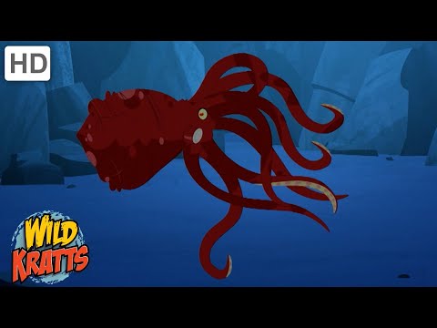 Octopuses and Other Cold Climate Creatures [Full Episodes] Wild Kratts